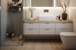 Bathroom Cabinets
