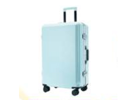 Luggage & Travel