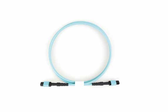 Armored MPO Patch Cord