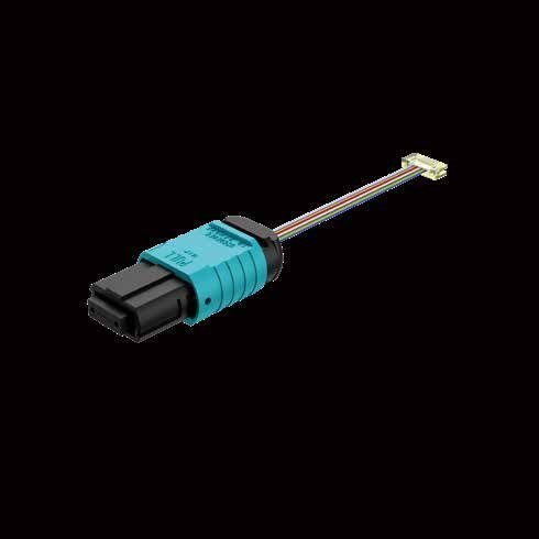 MPO – Jumper Assembly